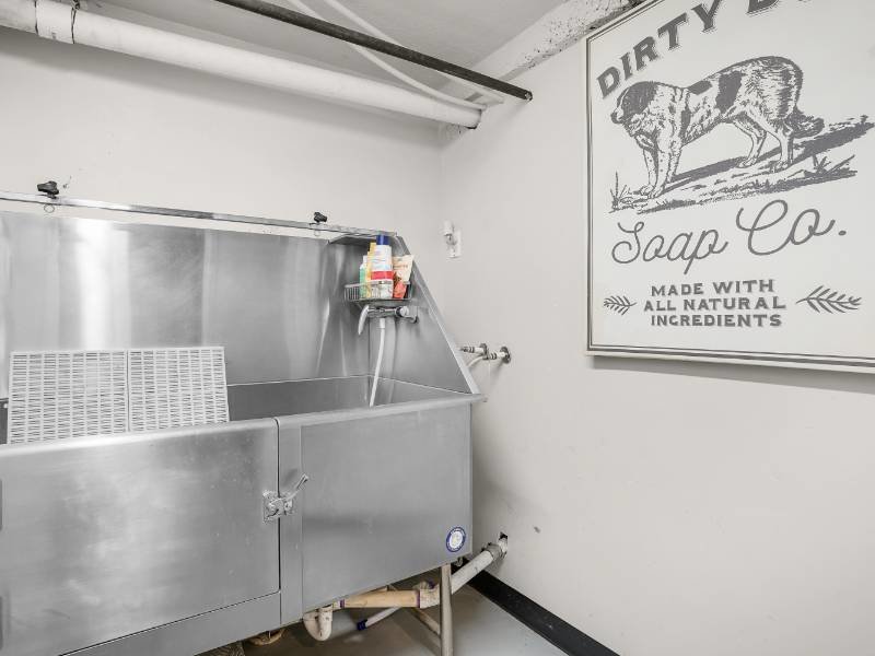 Dog Wash Station | Eleanor Rigby