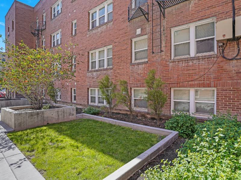 Beautiful Landscaping | Eleanor Rigby