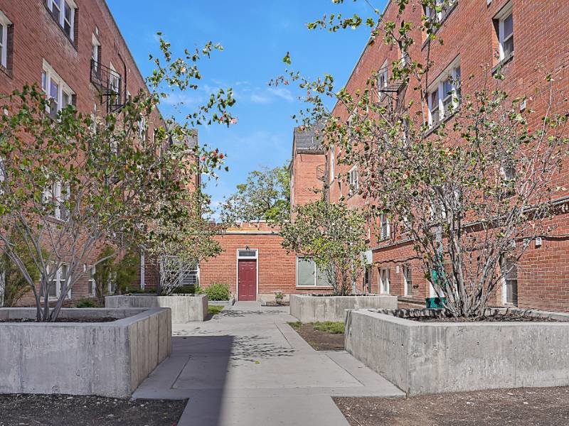 Courtyard | Eleanor Rigby
