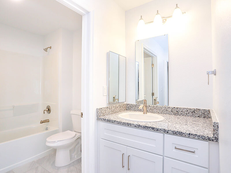 Large Bathroom | Royal Oak