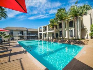 San Antonio Station | Beautiful Swimming Pool | San Antonio Apartments