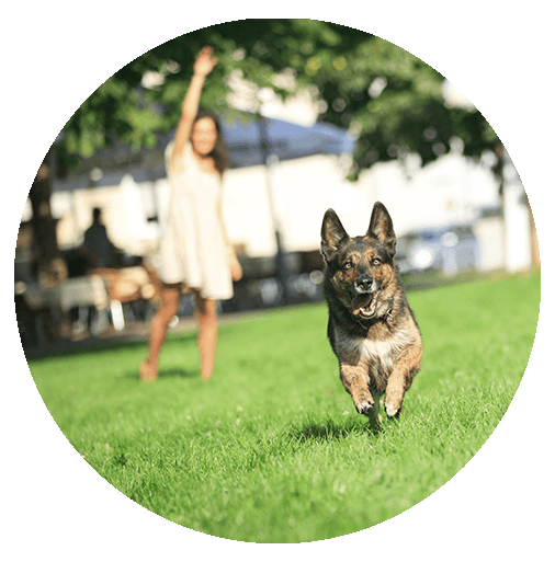 Indianapolis Apartment Amenities at One Somerset