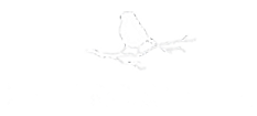 Sparrow Hill Logo - Special Banner