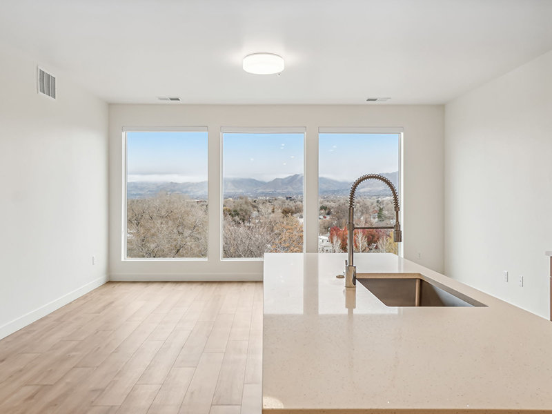 Large Kitchen Sink | The Vine