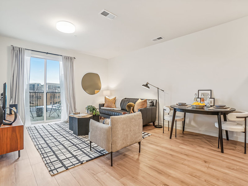 Living Room and Balcony | The Vine