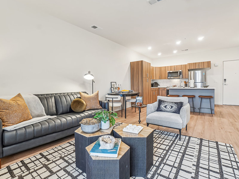 Large Living Room | The Vine