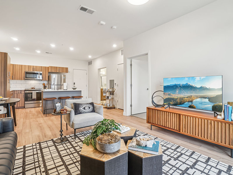 Luxury Living Room | The Vine