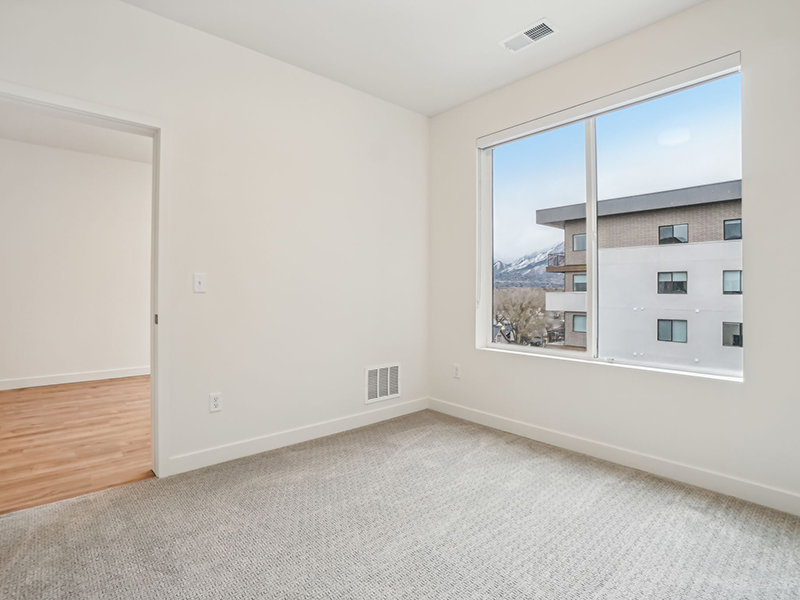 Apartment Area | The Vine