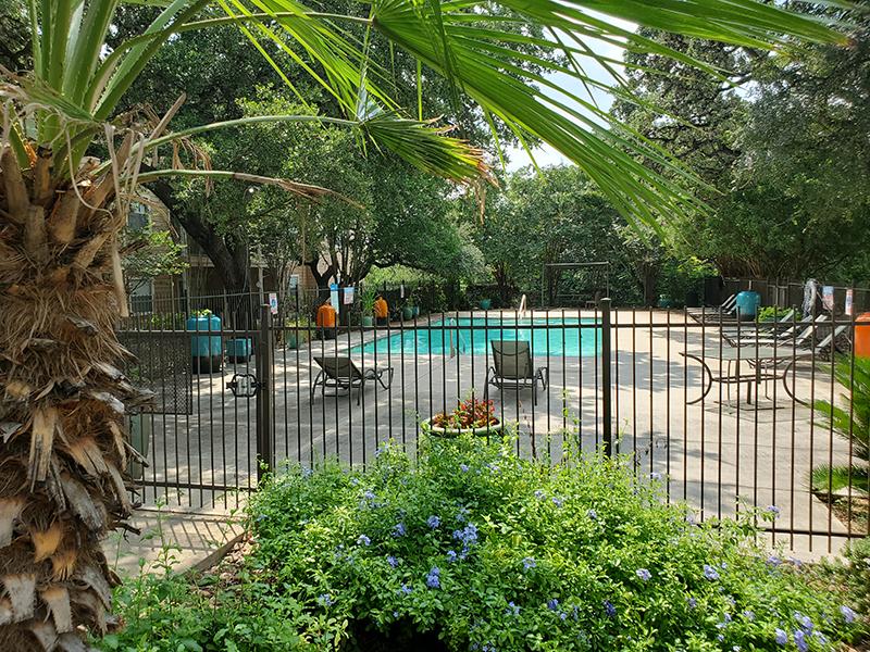 Beautiful Pool | The Ridge at Bandera Apartments in San Antonio, TX