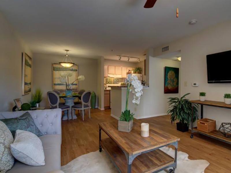 Living Area | The Ridge at Bandera Apartments in San Antonio, TX