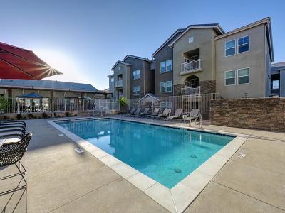 Apartments with a Pool | Vela Apartments in Santee, CA