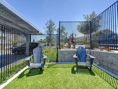 Dog Park | Vela Apartments in Santee, CA