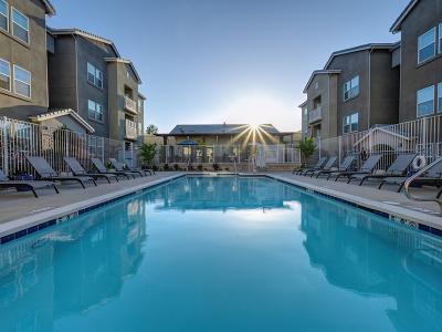 Apartments for Rent with a Pool | Vela Apartments in Santee, CA
