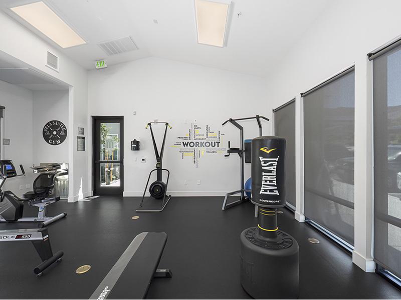 Apartments with a Gym | Vela Apartments
