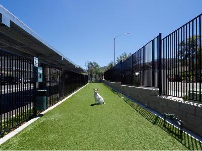 Dog Run | Vela Apartments in Santee, CA