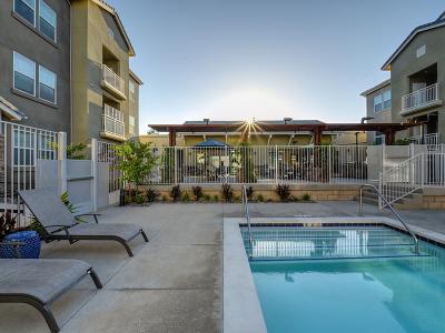 Pool | Vela Apartments in Santee, CA