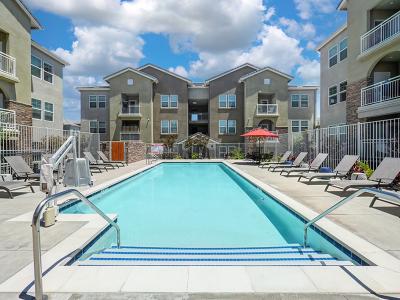Apartments in Santee with a Swimming Pool | Vela Apartments