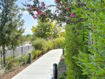 Beautifully Landscaped Grounds | Vela Apartments in Santee, CA