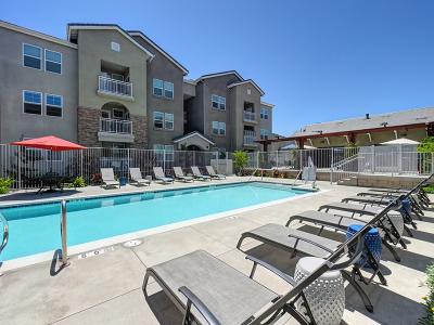 Apartments in Santee, CA with a Pool | Vela Apartments