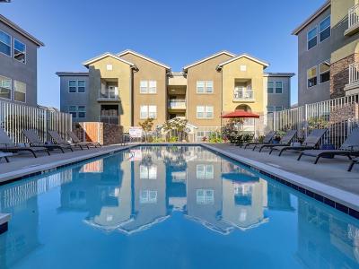 Swimming Pool | Vela Apartments in Santee, CA