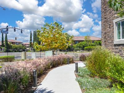 Walking Paths | Vela Apartments in Santee, CA