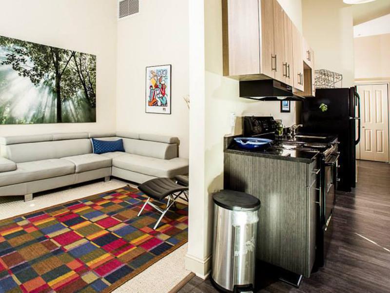 Kitchen & Living Room | Village Lofts In The Arts District