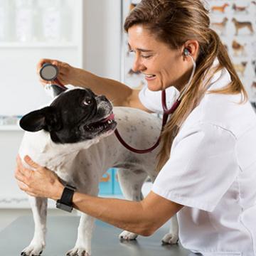 Veterinarians close to Luxe 1801