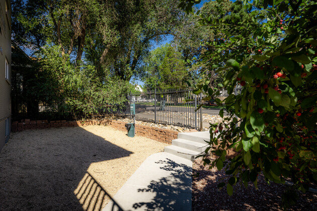 Jasmine Springs Easy Living