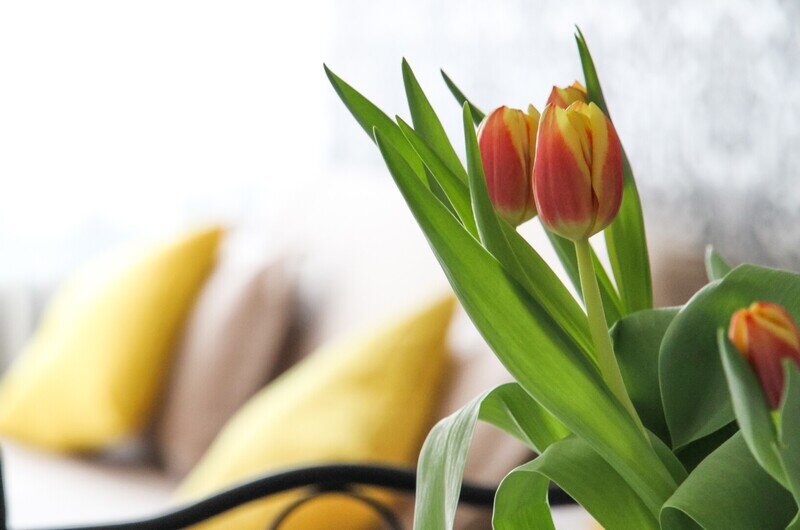 Denver Apartments community